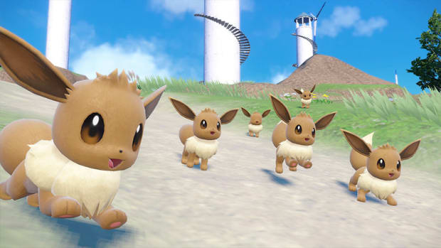 Lots of eevees